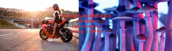 бутират Бородино