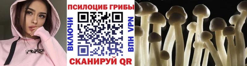 Псилоцибиновые грибы Psilocybine cubensis  Самара 